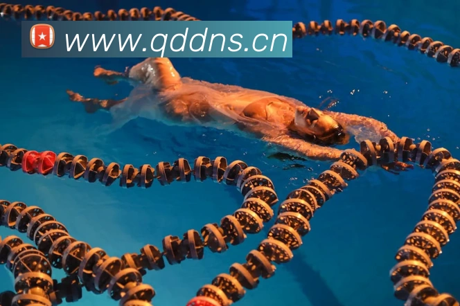 多媒体互动体验